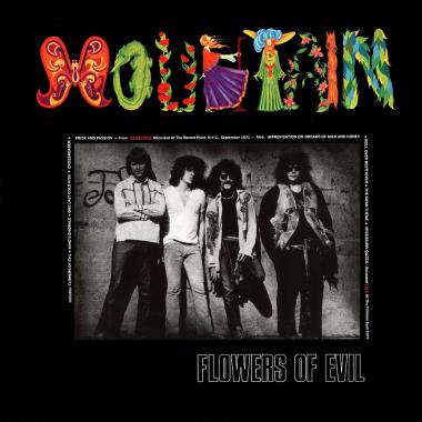 Mountain -  Flowers of Evil